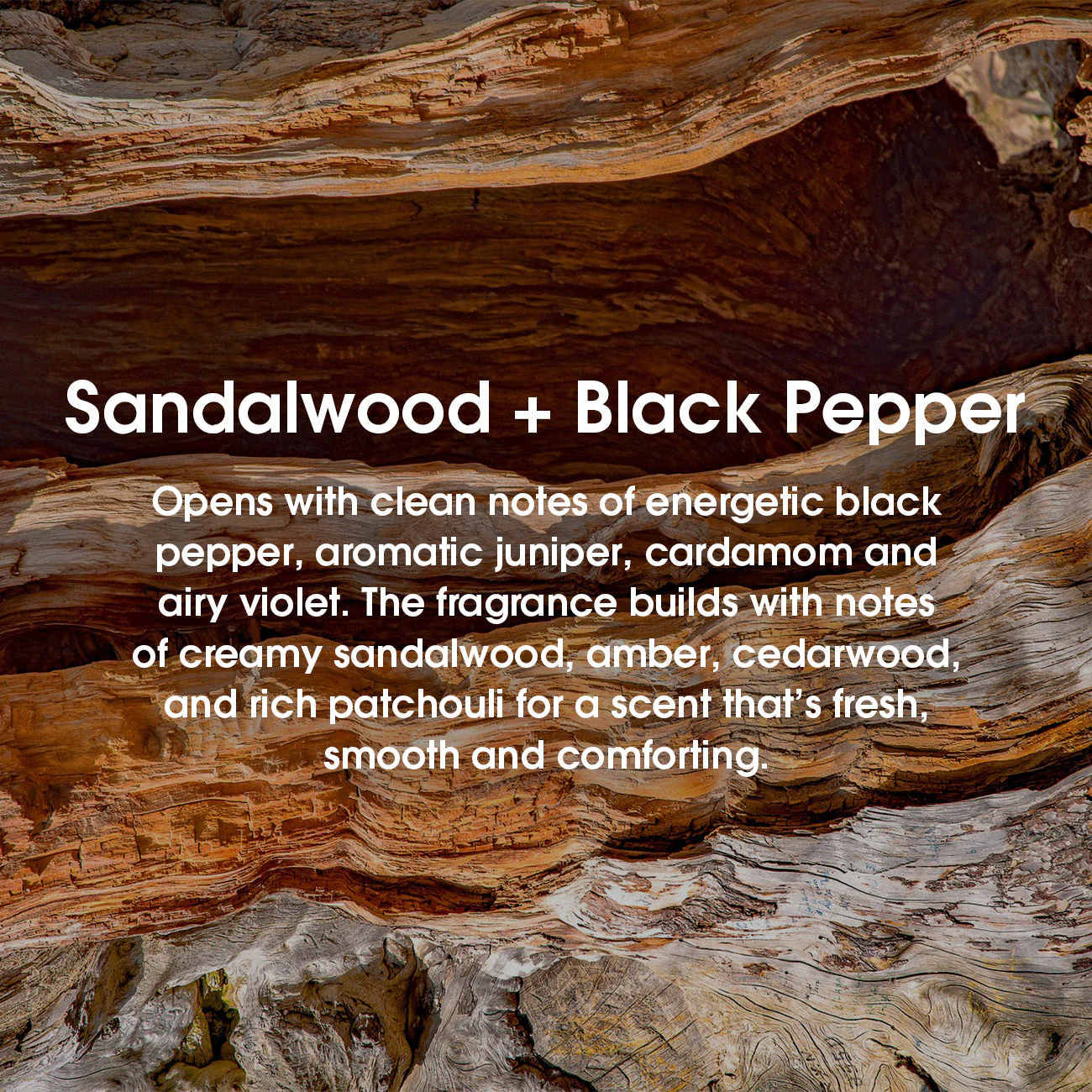 Woodsy Cologne Bundle - Image 5